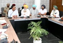 पंजाब में नरमें की खेती वाले रकबे में 20 प्रतिशत वृद्धि, 2.98 लाख एकड़ में हुई बुवाई: खुड्डियां