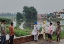 बड़ी परेशानी में घिरे पंजाब के किसान! अचानक आ खड़ी हुई नई मुसीबत