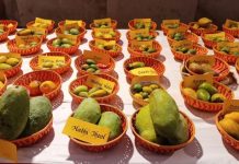 मैंगो मेला आज से, 500 किस्म के आमों का होगा प्रदर्शन