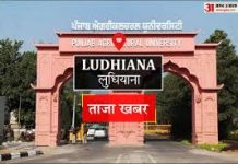 एमएसडीसी लुधियाना में अत्याधुनिक इनक्यूबेशन सेंटर का उद्घाटन