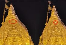 काशी में चमत्कार! शिवधाम के शिखर पर प्रकट हुआ देवी लक्ष्मी का वाहन – क्या बरसने वाली है विशेष कृपा?