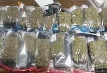 बैंकॉक से उड़ान, लखनऊ में पकड़ — 24 करोड़ का हाई-क्वालिटी गांजा, दो तस्कर दबोचे