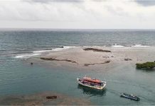 Tragic Accident: प्रवासी नाव डूबने से 70 लोगों की दर्दनाक मौत, मच गया हाहाकार