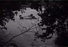 शिमला में दिल दहला देने वाला हादसा: पब्बर नदी में गिरी कार, तीन युवकों की दर्दनाक मौत, एक घायल