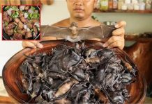 Tamil Nadu में चौंकाने वाला खुलासा: ‘Chili Chicken’ के नाम पर बेचा जा रहा था चमगादड़ का मांस