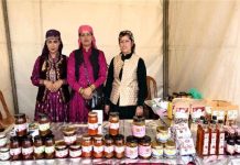 Himachal: दिलों को जीत रही सेब की बर्फी, एक साल तक नहीं लगती फंगस, जानिए Recipe