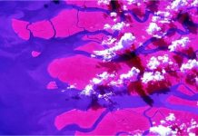 NASA के अंतरिक्ष यात्री ने स्पेस से खींची ‘गंगा’ की दुर्लभ तस्वीर, किया सबको मंत्रमुग्ध