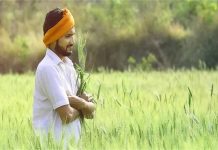 प्रधानमंत्री किसान संपदा योजना के लिए 6520 करोड़ रुपये मंजूर, खाद्य सुरक्षा और गुणवत्ता पर बड़ा फोकस