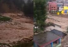 शिमला में बारिश का कहर, लोगों ने छोड़े घर…जगह जगह भूस्खलन, दबी गाड़ियां और सड़कें बंद