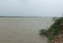 पंजाब में बाढ़ के खतरे के बीच सरकार ने जारी की Advisory, 3 से अधिक लोग…