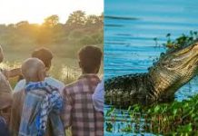 बहराइच में दर्दनाक हादसा: मगरमच्छ ने 14 साल के बच्चे को पानी में खींचा, शव बरामद होते ही गांव में छा गया मातम