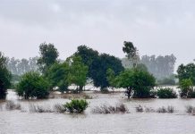 पंजाब में 27 सालों का टूटा Record, कहर बनकर बरसी बारिश, पढ़ें पूरी Report