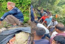 Himachal: भूस्खलन से गिरा मकान, 5 लोग मलबे में दबे, 2 सुरक्षित निकाले, 1 की मौत, दो लापता