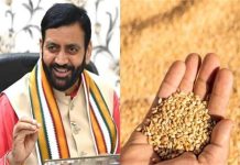 हरियाणा सरकार का किसानों को नवरात्रि पर तोहफा, गेहूं बीज सब्सिडी में बढ़ोतरी