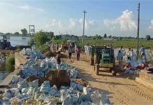 Sirsa: गांव गुडियाखेड़ा में हालात हुए बद से बदतर, ढाणियों में बने मकान हो रहे क्षतिग्रस्त…800 एकड़ फसल जलमग्न