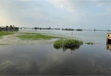 बाढ़ की चपेट में पंजाब! पहले ब्यास और अब सतलुज का कहर, खतरे में कई गांव