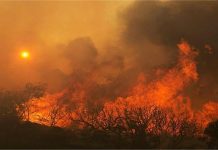 लॉक्सली ऑन बेलबर्ड हिल, कुर्राजोंग हिल्स में भीषण आग से ऐतिहासिक वेडिंग वेन्यू जलकर खाक