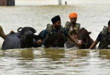 इंसानों के साथ-साथ पशुओं की भी सच्ची रक्षक!पंजाब सरकार ने सिर्फ एक हफ्ते में 1.75 लाख से ज्यादा पशुओं को ‘गल-घोटू’ से बचाया