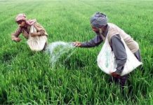 Farmer News:सरकार ने खाद लेने के लिए लागू किया नया नियम, किसानों को करना होगा यह काम