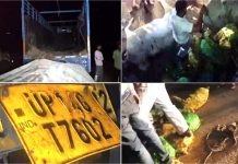 Bilaspur: हाईवे पर खराब खड़े ट्रक में मिला कुछ ऐसा कि देखने वालाें की कांप गई रूह, तस्कर माैके से फरार
