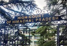 Shimla: हाईकोर्ट ने सरकार सहित सीबीआई व केसीसी बैंक को जारी किए नोटिस, जानिए क्या है मामला