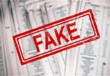 Jalandhar की इन कालोनियों को जारी हुई Fake NOC का पर्दाफाश, चौंकाने वाला मामला आया सामने