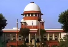 करनाल में 40 पेड़ काटने का मामला: SC की हरियाणा सरकार को फटकार, कहा- 3 महीने में ग्रीन बैल्ट करें बहाल