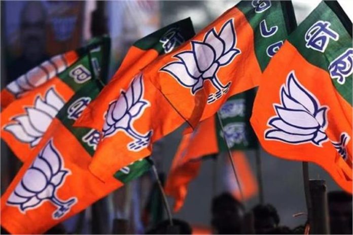 2025_12image_09_43_164810399bjp-ll