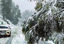 हिमाचल के इन शहरों में शीतलहर का अलर्ट, बर्फबारी होने की भी संभावना