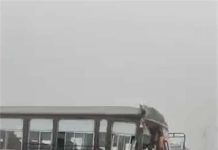 Jalandhar-Ludhiana Highway पर हादसा, पंजाब रोडवेज बस की टिप्पर के साथ भयानक टक्कर, उड़े परखच्चे