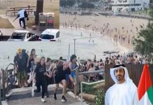 ऑस्ट्रेलिया बॉन्डी बीच गोलीकांडः UAE मंत्री की 2017 की चेतावनी का वीडियो वायरल ! 8 साल पहले किया था आगाह
