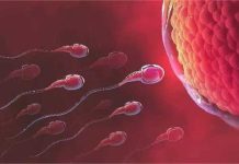 Low Sperm Count: दुनिया में मची हलचल, कम स्पर्म काउंट वालों में मौत का खतरा ज्यादा, जानें क्यों?