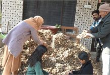 Himachal: रिटायर्ड प्रिंसिपल ने कई क्विंटल हल्दी उगाकर पेश की मिसाल