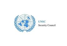 UNSC में गूंजी भारत की दहाड़: पाकिस्तान को बताया ‘आतंक का केंद्र’