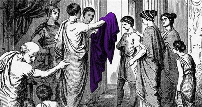 2026_1image_12_42_323698376purple-ll