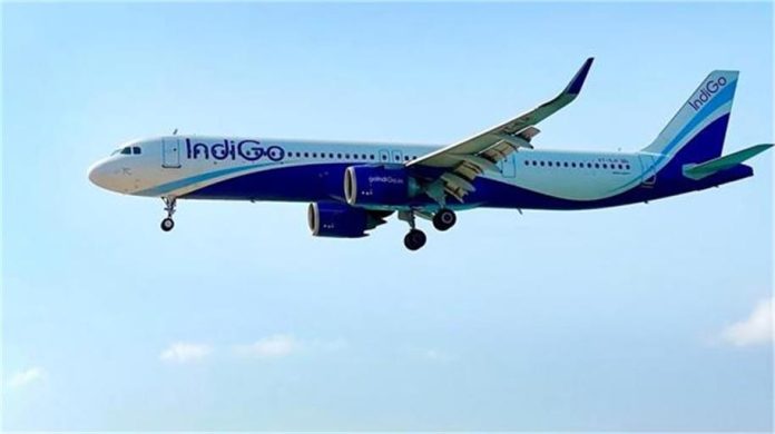 2026_1image_17_29_594390109indigo-ll