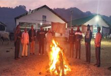 Kangra: मणिमहेश सेवा दल ने बेसहारा पशुओं के साथ मनाया लोहड़ी पर्व