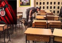 Noida के 10+ स्कूलों को मिली बम से उड़ाने की धमकी, ईमेल से मची खलबली