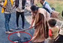 BJP विधायक का रौद्र रूप! फावड़ा उठाकर खुद ही उखाड़ दी 38 लाख की सड़क, भ्रष्टाचार देख PWD अफसरों के उड़े होश