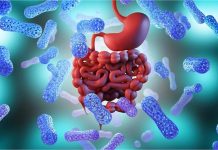 Cancer Treatment में बड़ी कामयाबी! अब पेट के अच्छे बैक्टीरिया से ही होगा कैंसर का इलाज, महंगे इलाज से मिलेगा छुटकारा