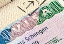 1 Visa 29 countries Visit Free: एक ऐसा ताकतवर वीजा जिससे 29 देशों में मिलती है सीधी एंट्री, जानें क्या है शेंगेन वीजा और इसकी खासियत