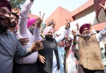 आप पंजाब ने अरविंद केजरीवाल और आप नेताओं के हक में अदालत के फैसले का चंडीगढ़ में मनाया जश्न