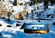 Himachal Weather Update: बर्फीली कैद में हिमाचल! 6 जिलों में ऑरेंज अलर्ट जारी, जानें अपडेट