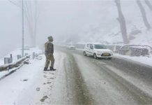 शिमला में बारिश और ओलावृष्टि, मनाली के ऊंचे इलाकों में ताजा हिमपात; जानें अगले 5 दिनों तक कैसा रहेगा मौसम