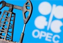 UAE का बड़ा फैसला, 60 साल बाद Opec और Opec+ से होगा अलग