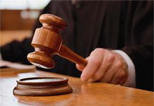 Mandi: कोर्ट ने नहीं मानी दलील, चरस तस्करी के मुख्य सरगना की जमानत याचिका खारिज