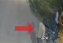 Amritsar में चली ताबड़तोड़ गोलियां, दहशत में इलाका