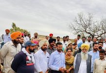 कृषि विभाग के 500 से अधिक कर्मचारी फसलों के नुकसान का लेंगे जायजा: गुरमीत सिंह खुड्डियां