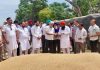पंजाब की मंडियों में 28 लाख मीट्रिक टन गेहूं की आमद, 24 लाख मीट्रिक टन से अधिक की खरीद : लाल चंद कटारूचक्क