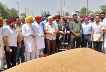 पंजाब ने लगातार चौथे सफल सीजन में साथ-साथ खरीद और भुगतान सुनिश्चित किया — लाल चंद कटारूचक्क